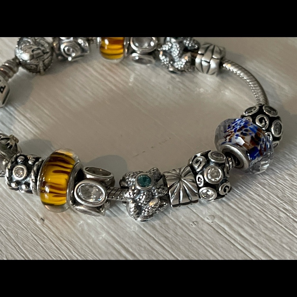 GORGEOUS loaded Pandora bracelet with 15 charms.